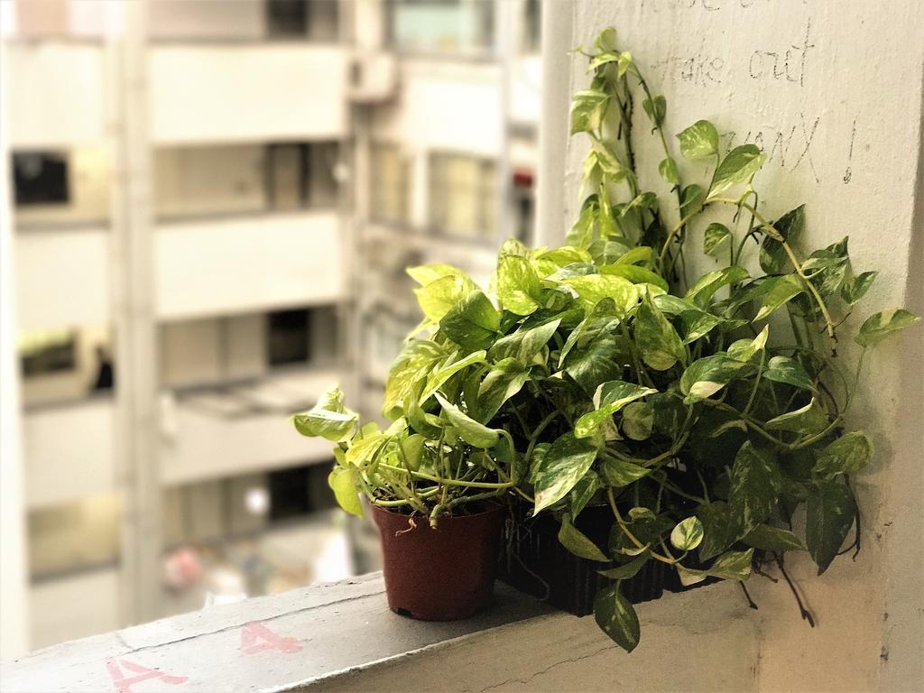 香港 3D龙门客栈旅舍 外观 照片